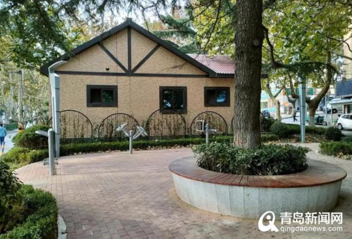 青岛早知道 | 疫苗接种、特斯拉传闻与城市绿化管理