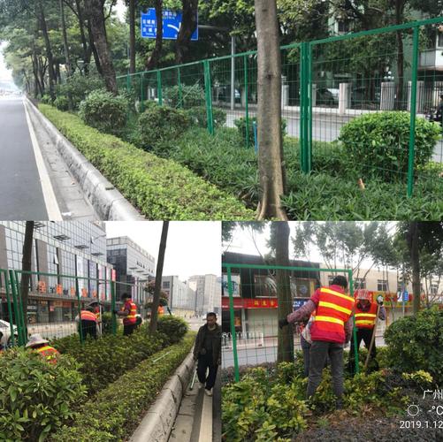 白云区城市管理局关于道路绿化管理工作的情况周报（2018年1月7日-2018年1月13日）