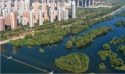 6月新规聚焦城市绿化管理，这些变化影响你我生活