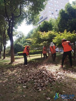守护城市绿意｜锡山城管局秋季绿化养护工作纪实
